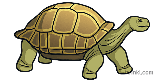 Skildpadde Emoji Dyr Natur Videnskab Twinkl Nyhedsrum Ks2 Illustration