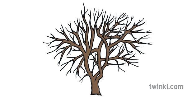 冬の木 Illustration Twinkl