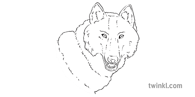 狼說話的火鳥俄羅斯傳統童話故事計劃英語 Ks2 Bw Rgb