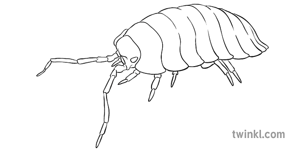 rumah kayu hitam putih 1 Illustration - Twinkl