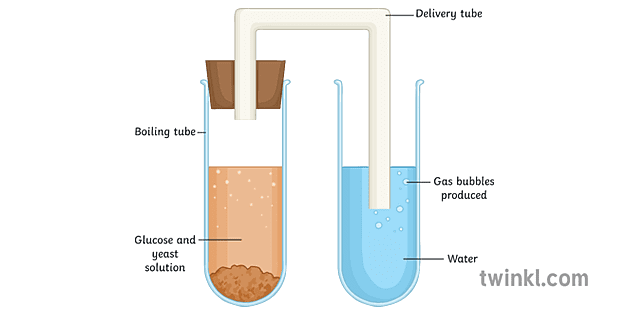 chemistry experiment setup