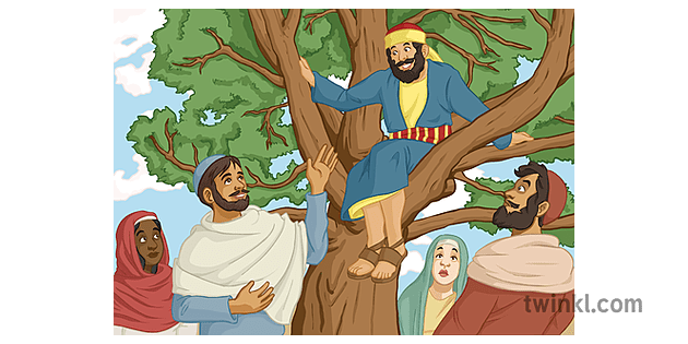 zacchaeus in a tree re krikščionybės istorija Jėzus ks3 ks4 Illustration