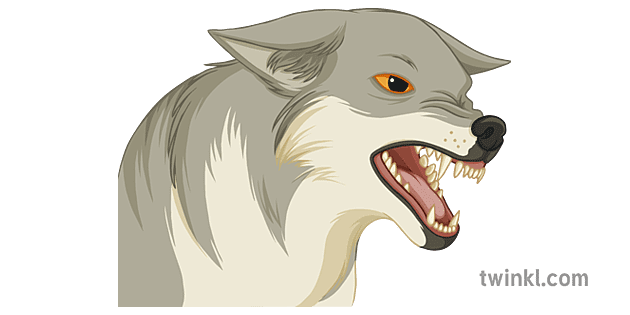 Angry Wolf Illustration Twinkl