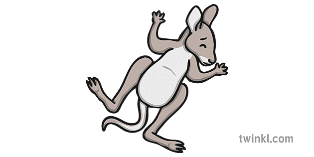 Baby Kangaroo Joey Flying Through the Air - Twinkl