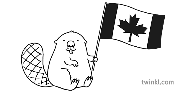 Bebras Su Kanados Vėliava Juoda Ir Balta Illustration Twinkl