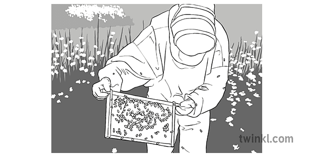 pemelihara lebah hitam putih Illustration - Twinkl