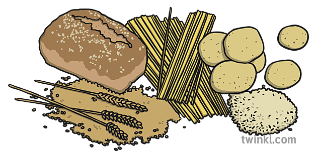 Carbohydrates Illustration - Twinkl