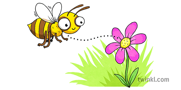 Cartoon Bee and Flower Illustration - Twinkl