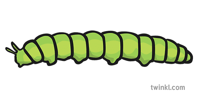 How many legs does a caterpillar have? Teaching Wiki
