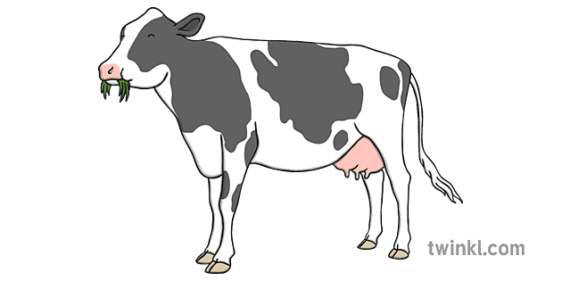 cow eating grass clipart black&white