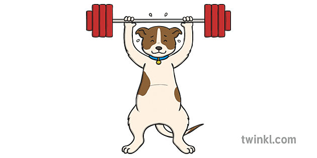 Dog Lifting Weights Illustration - Twinkl