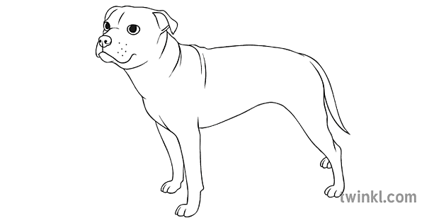 can a staffordshire bull terrier live in malta