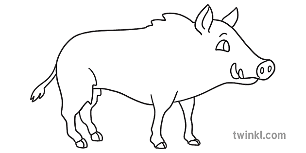 eyfs pig black and white rgb ver 1 Illustration - Twinkl