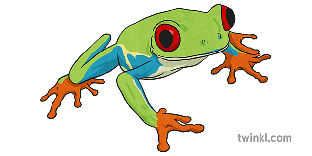 Felipe Tree Frog Illustration - Twinkl