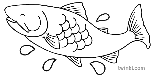 Fisch Schwarz Weiß 2 Illustration