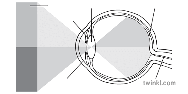 どのように画像が目から見てテキストが黒と白に変わるか