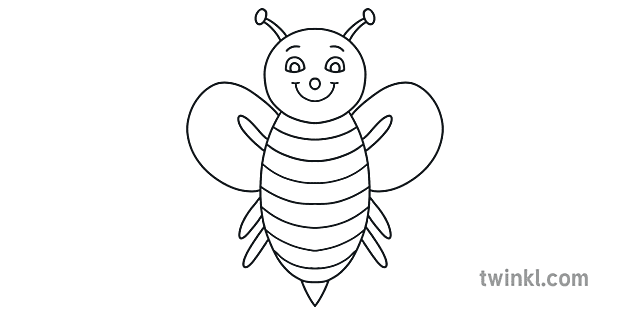 cómo dibujar una abeja diagrama paso dibujo animal insecto ks1 usa ojos cómo dibujar una abeja diagrama paso dibujo animal insecto ks1 usa ojos