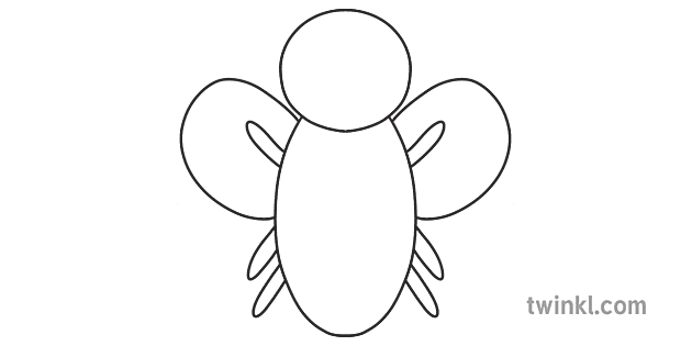 jak narysować pszczołę krok3 diagram zwierzę rysunek owadów ks1 usa z