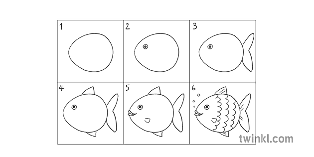 How to Draw a Fish Illustration - Twinkl