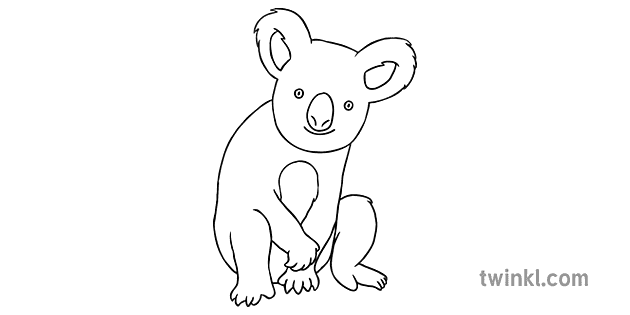 Comment Dessiner Un Koala 5 1 Illustration Twinkl