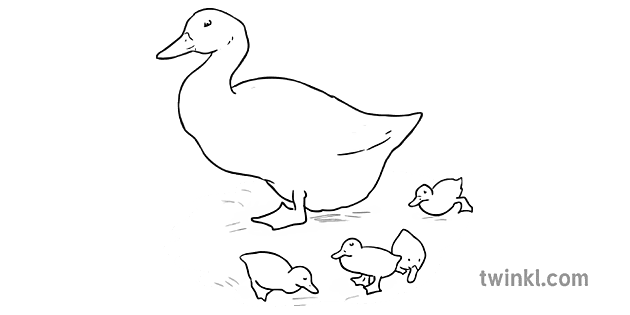 jemima puddle letata le matata a matšo le masoeu Illustration - Twinkl