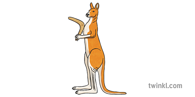 Kangaroo with Boomerang Illustration - Twinkl