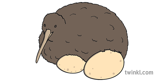 kiwi situr á eggjum ver 1 Illustration - Twinkl