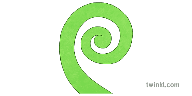 Koru Spiral Illustration - Twinkl