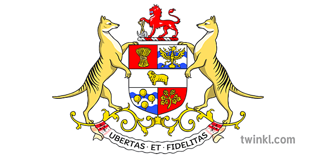 What Is A Coat Of Arms? | Coat Of Arms For Children | Twinkl