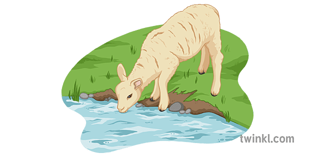 Lamb Drinking Water from Stream Illustration - Twinkl