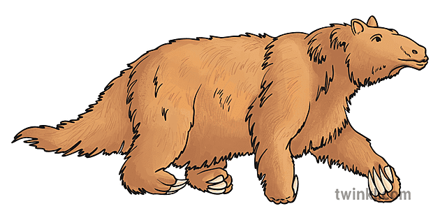 Megatherium Illustration Twinkl