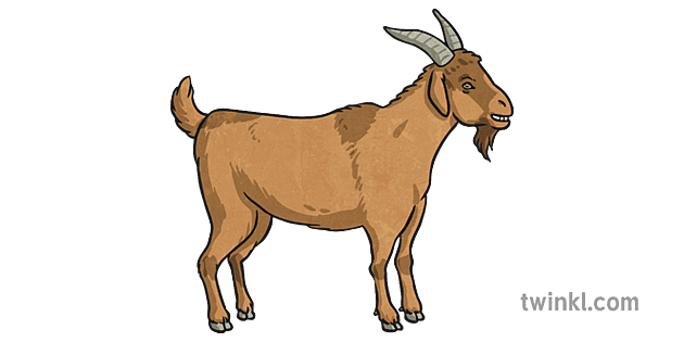 Middle Billy Goat 3 Illustration Twinkl