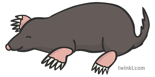 mole animal clipart background