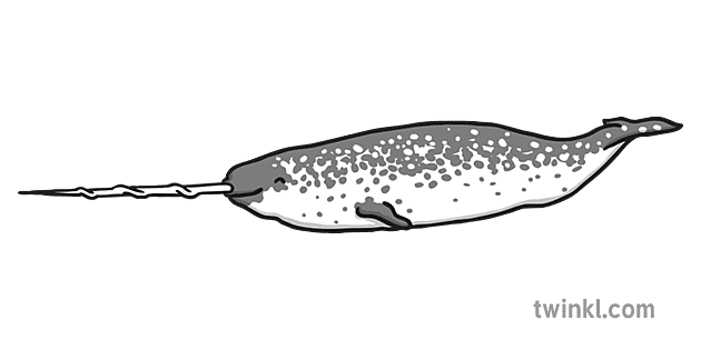 boynuzlu balina siyah beyaz Illustration - Twinkl