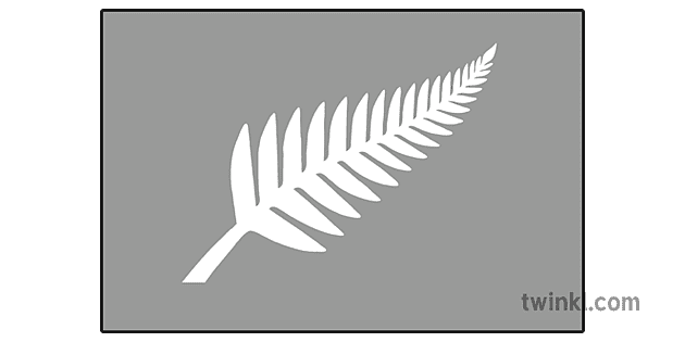 新西兰国旗决赛选手11黑与白1 Illustration Twinkl