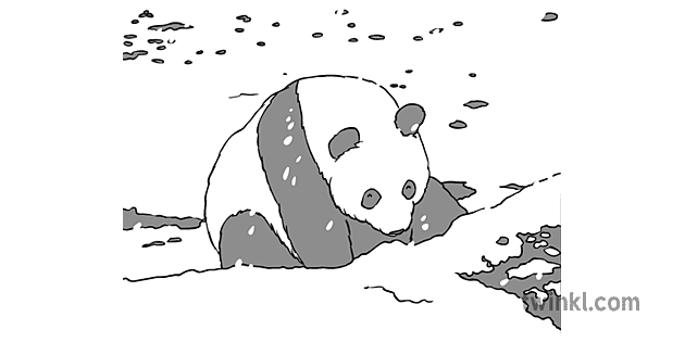 Panda Dans La Neige Noir Et Blanc Illustration Twinkl