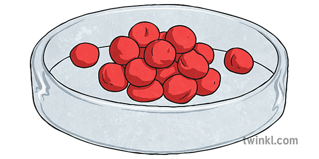 Petri Dish with Playdough Staphylococci Illustration - Twinkl