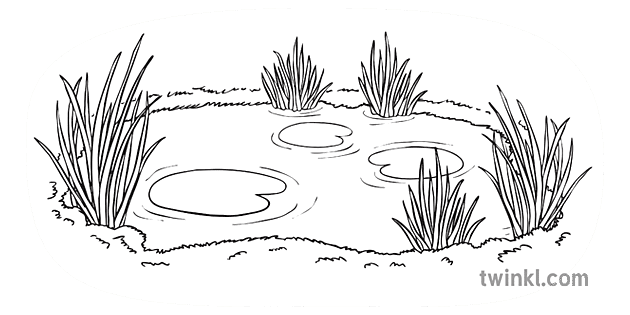 frog in pond cartoon black and white