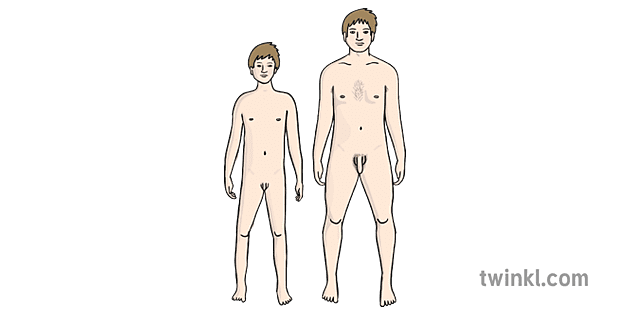  naked pubert boy Puberty Naked Man and Boy Illustration - Twinkl