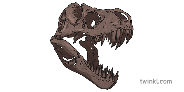 Replacement Fossil T Rex Skull Illustration - Twinkl