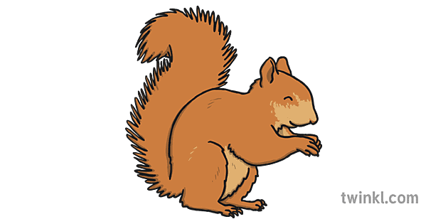Squirrel 4 Illustration - Twinkl