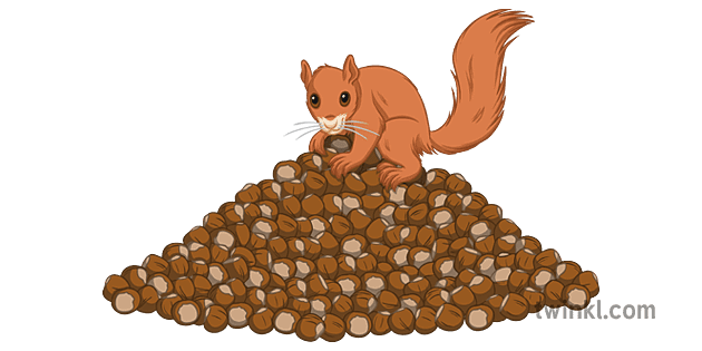 Squirrel with Store of Nuts Illustration - Twinkl