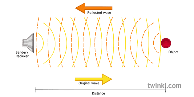 Ultrasound Wave Illustration - Twinkl