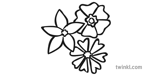 flores silvestres en blanco y negro Illustration - Twinkl