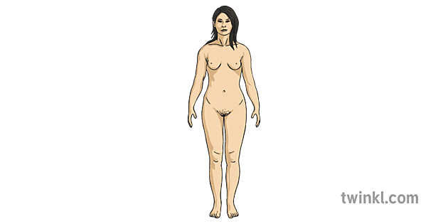 анатомия голого женского тела ero photo fun