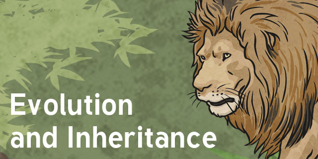 Evolution and Inheritance - Year 6 Science Resources