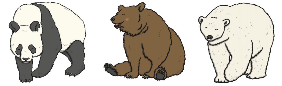 What Is A Bear Answered Twinkl Teaching Wiki