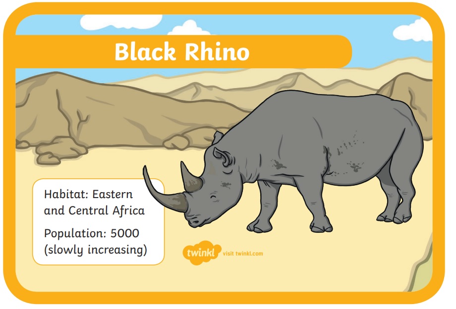 What is the rarest animal in the world? Teaching Wiki