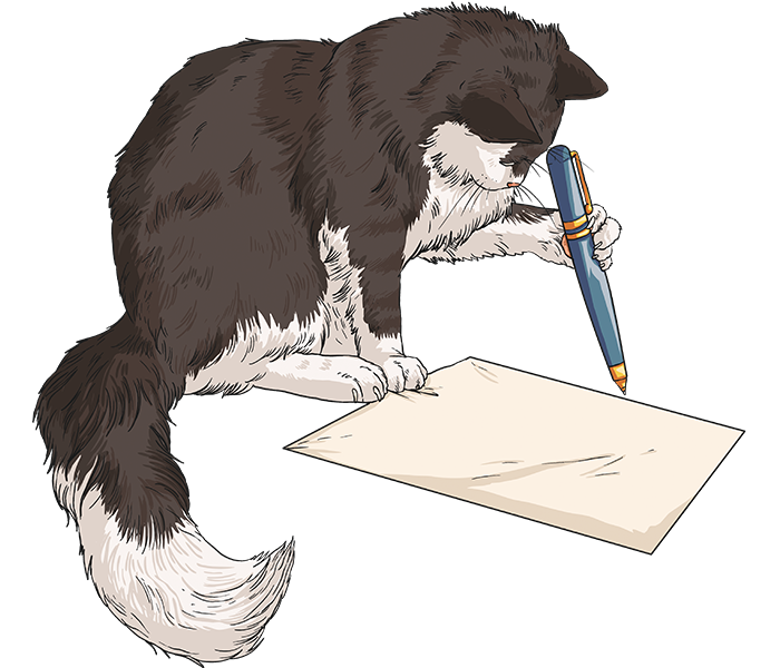 What is a writing frame? Twinkl