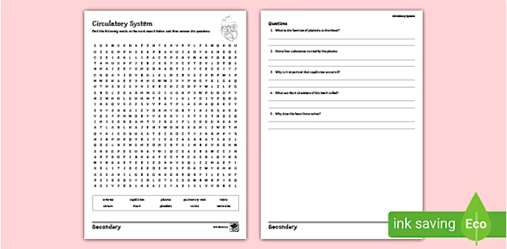 Circulatory System Wordsearch